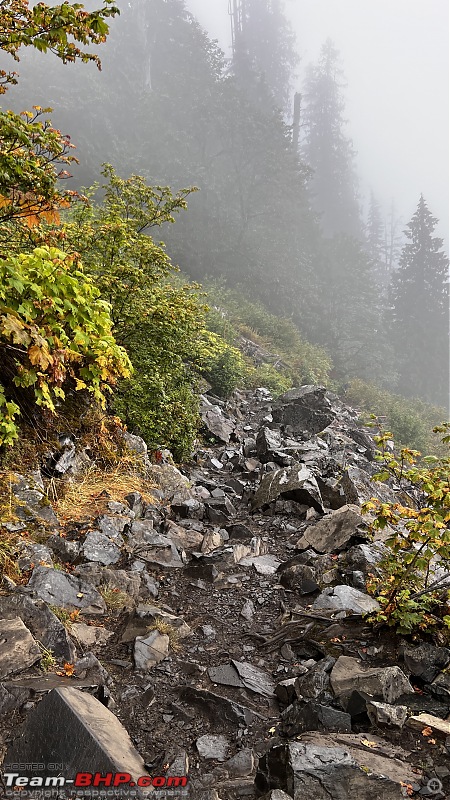 Hiking in Washington - A healthy & beautiful way to enjoy nature!-img_7200.jpg