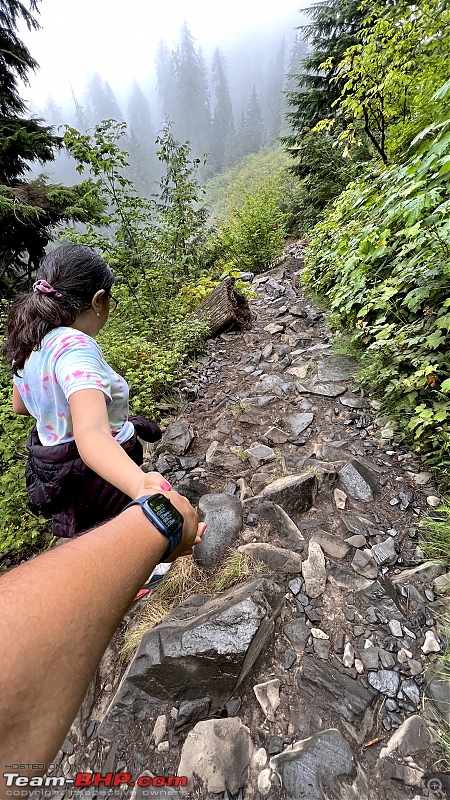 Hiking in Washington - A healthy & beautiful way to enjoy nature!-img_7203.jpg