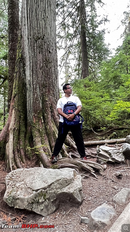 Hiking in Washington - A healthy & beautiful way to enjoy nature!-img_7228.jpg