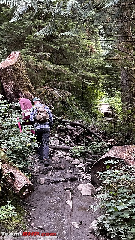 Hiking in Washington - A healthy & beautiful way to enjoy nature!-img_7165.jpg