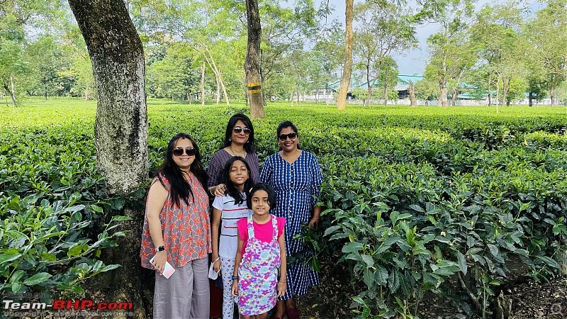 Tawang & Kaziranga Redux | Cars, Friends, Food and some more food-dd0e5193083443dfba27ad530878887b.jpeg
