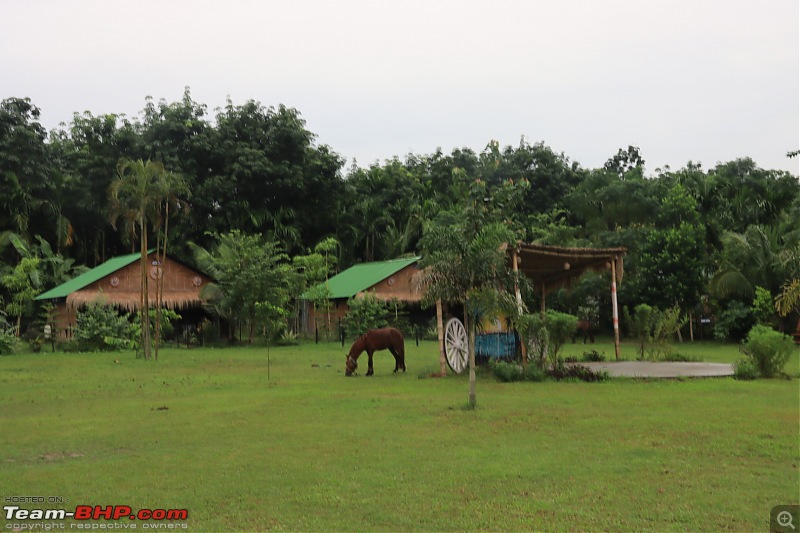 Tawang & Kaziranga Redux | Cars, Friends, Food and some more food-9a5259df7bf546ed89766df2a9a2799a.jpeg