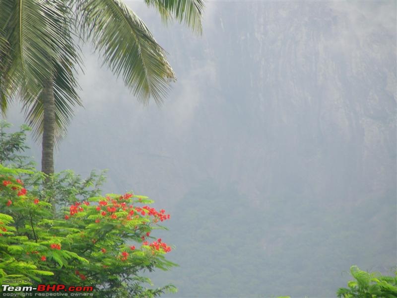 A wet DRIVE to the Monsoon Wedding! What can I say???-dscn5698-medium.jpg