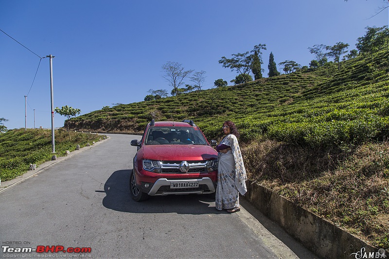 Darjeeling->Rishop->Kolakham->Samabeong->Dooars in a Duster AWD-img_2119.jpg