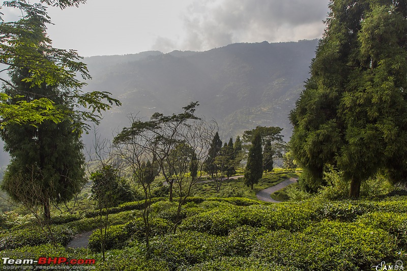 Darjeeling->Rishop->Kolakham->Samabeong->Dooars in a Duster AWD-img_2220.jpg