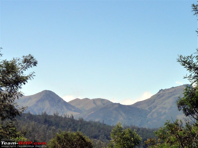 'Xing'ing around ! - A weekend trek to Mukurthi Peak near Ooty...-015.jpg