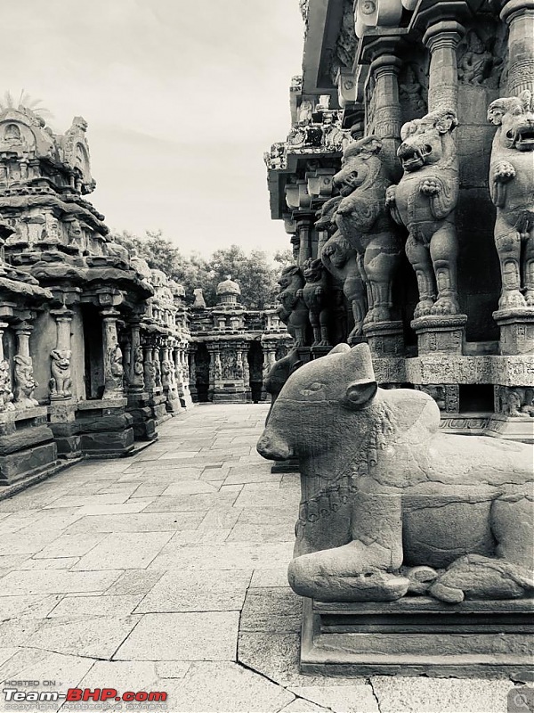 A quick dash to Kanchi and Mahabalipuram-whatsapp-image-20221025-5.01.46-pm-3.jpeg