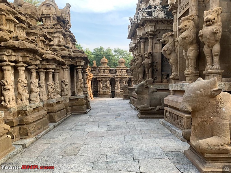 A quick dash to Kanchi and Mahabalipuram-whatsapp-image-20221025-5.01.46-pm-4.jpeg