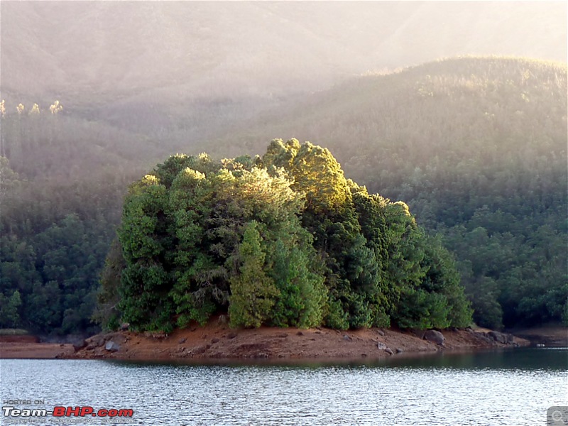 'Xing'ing around ! - A weekend trek to Mukurthi Peak near Ooty...-044.jpg