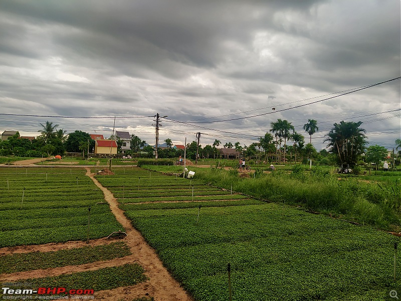 A Dummies Guide to Vietnam-hoian-21-30.jpeg