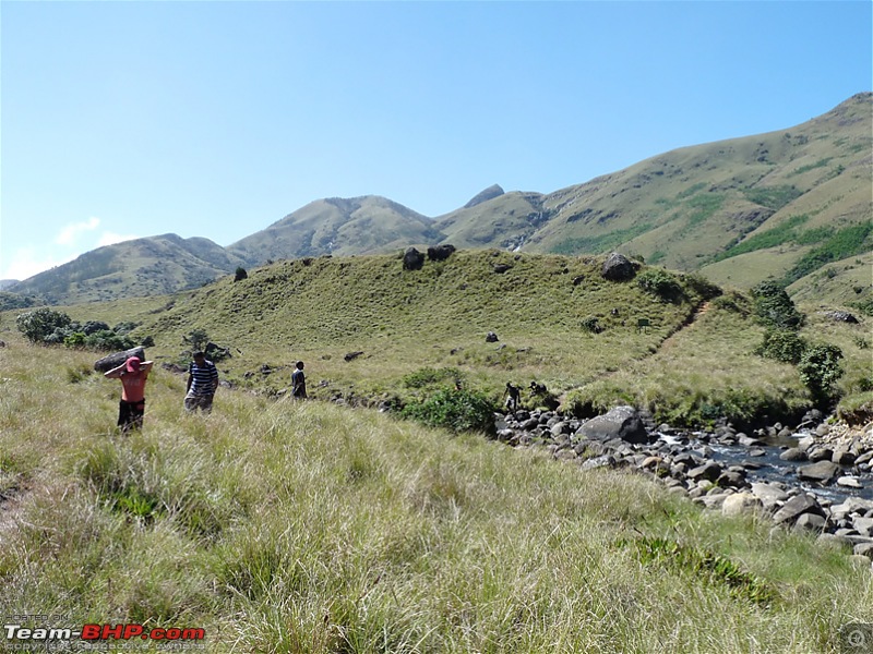 'Xing'ing around ! - A weekend trek to Mukurthi Peak near Ooty...-107.jpg