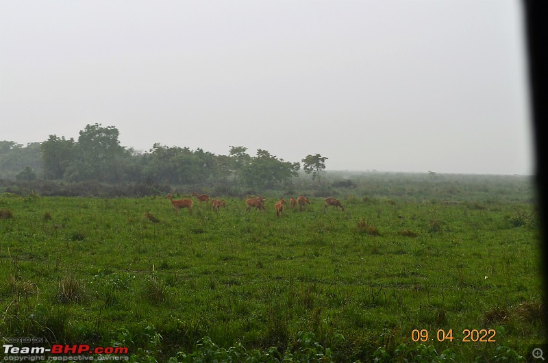 A Question | An Underrated SUV | 9271 km | 12 States | Bengaluru - Assam Road Trip-asar008.jpg