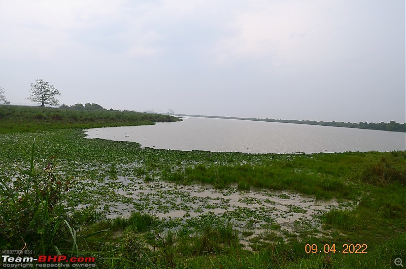 A Question | An Underrated SUV | 9271 km | 12 States | Bengaluru - Assam Road Trip-asar009.jpg