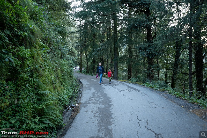 Navratri in the Himachal - A 4500+ KM Roadtrip from Kolkata in an Innova Crysta-34.-siri-moss.jpg