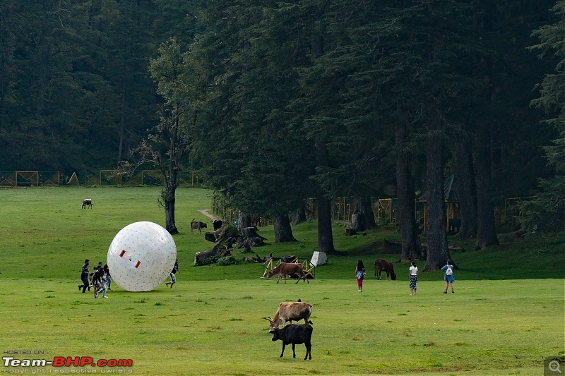 Navratri in the Himachal - A 4500+ KM Roadtrip from Kolkata in an Innova Crysta-23.-ball.jpg