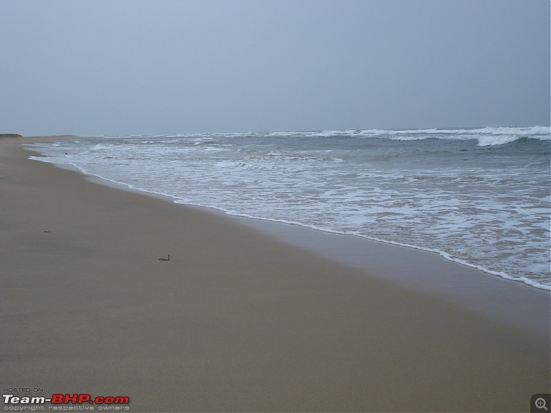 Peaceful Pondicherry - Nov 27 to 29-dsc02714.jpg