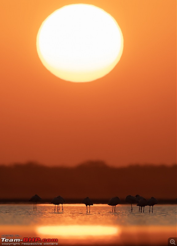 Little Rann of Kutch: Photolog-flsunset.jpg