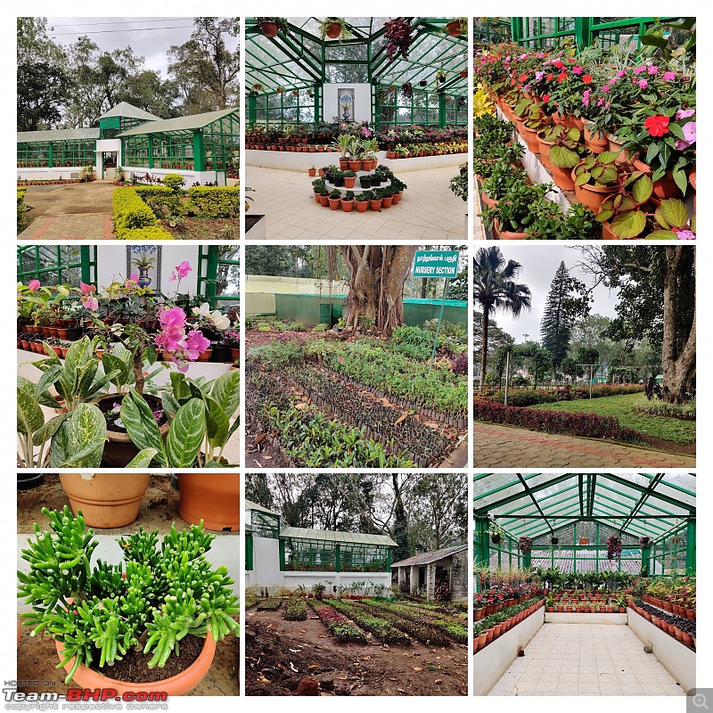 My Travel Diary: Exploring Yercaud, the Jewel of the South-img_20221125_133203collage.jpg