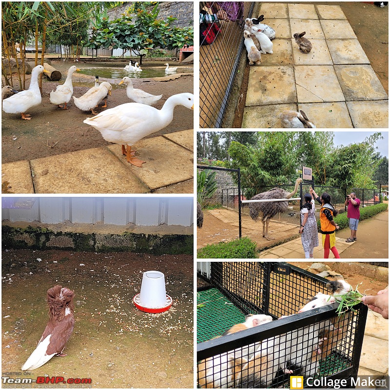 My Travel Diary: Exploring Yercaud, the Jewel of the South-photo-collage-maker_2022_12_04_03_46_12.jpg