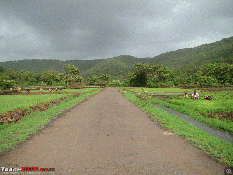 Another Konkan drive in the Gypsy-slide2.gif