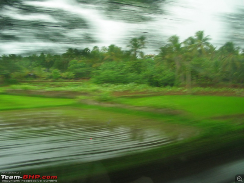 A wet DRIVE to the Monsoon Wedding! What can I say???-dscn5774.jpg