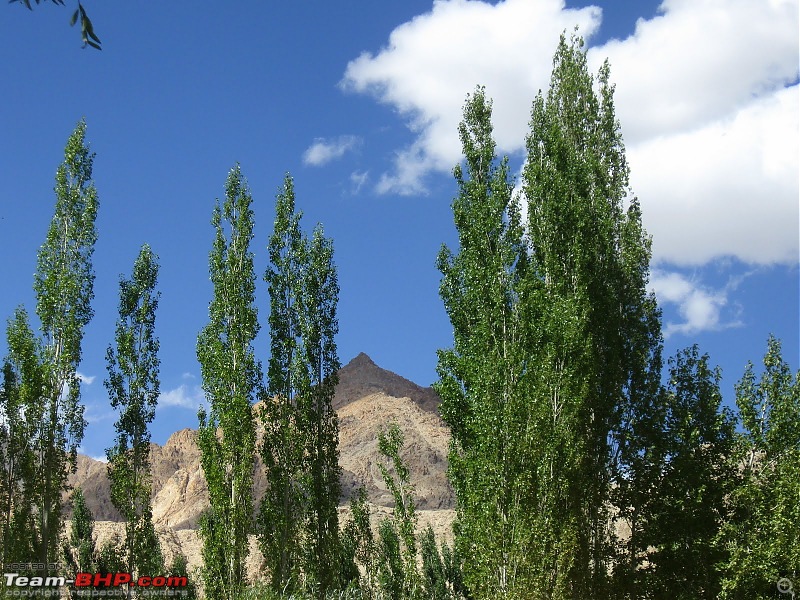 The mother of all trips: Exploration Ladakh, destination Leh-picture-747.jpg