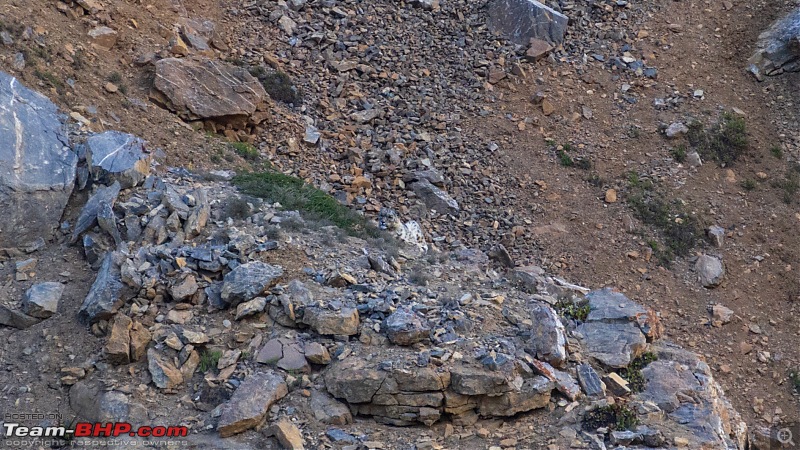 In search of Milky Way and the elusive Snow Leopard | Kodiaq adventures in Spiti - May 2022-spiti075.jpg