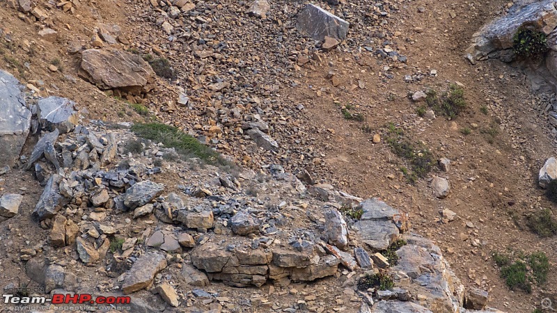 In search of Milky Way and the elusive Snow Leopard | Kodiaq adventures in Spiti - May 2022-spiti074.jpg