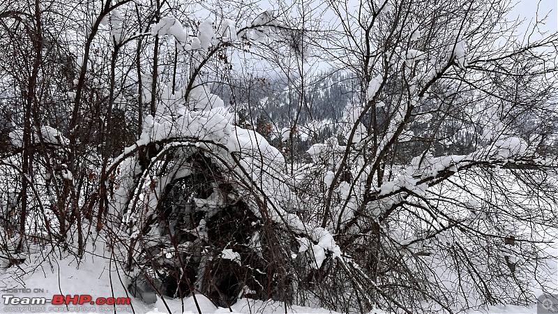 Leavenworth, WA - Visit in a BMW to the most X'massy Town in USA + Experiencing a snow blizzard-img_3872.jpg