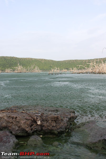 Smoke On The Water, Fire In The Sky (Into  Lonar Lake And Crater)-14_shades_of_green_web.jpg