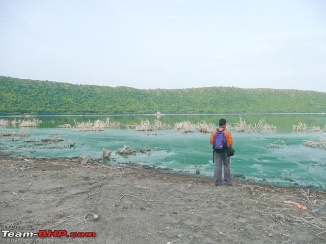 Smoke On The Water, Fire In The Sky (Into  Lonar Lake And Crater)-vegetation.jpg