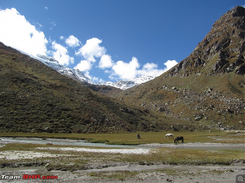 Deo Tibba Base Camp Trek-img_4002.jpg