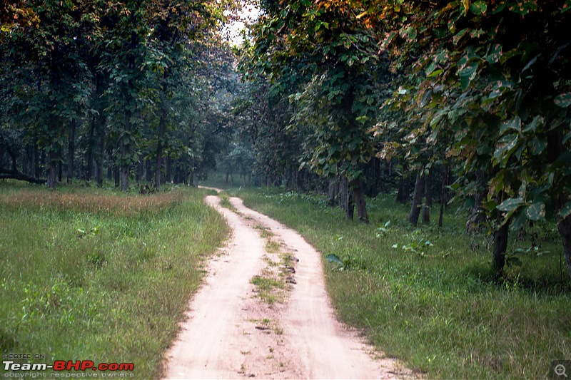 Bundelkhand Stories with Khajuraho and Tigers-panna55.jpg