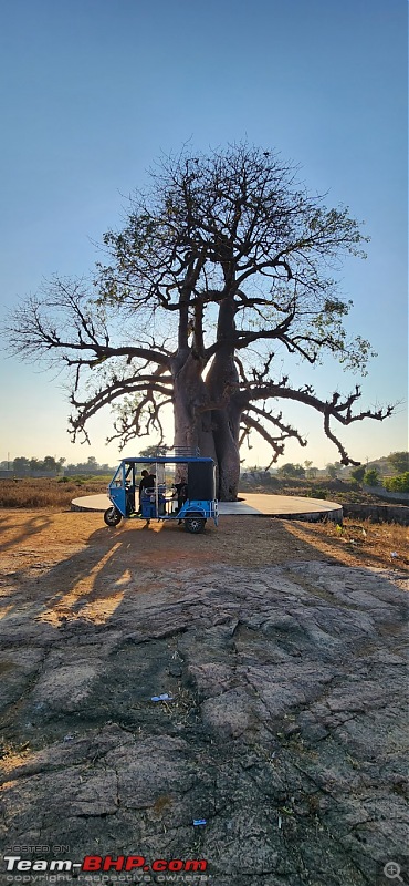 A painting that launched a 4000 km drive | Caves, Forts and a Fortuner-33.kalpa-vriksha.jpg