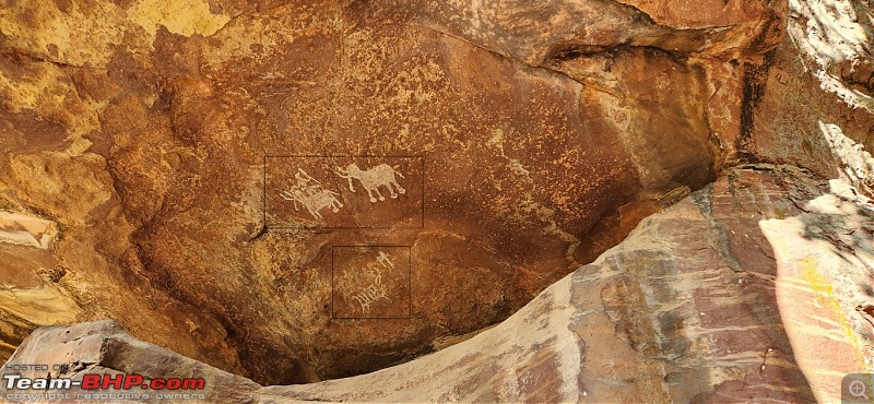 A painting that launched a 4000 km drive | Caves, Forts and a Fortuner-49.boar-elephant.jpg