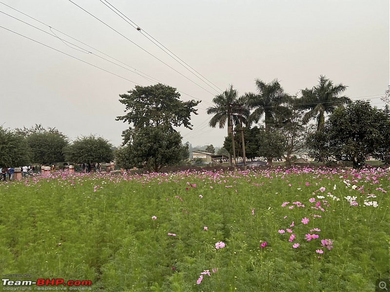 M2M - Magnite to Mayapur - A Weekend Getaway-pic-14-flowers.jpg