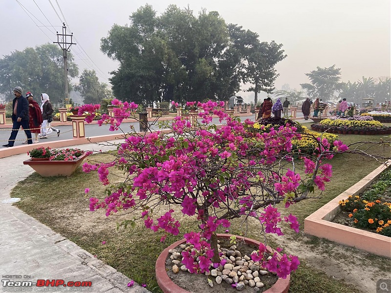 M2M - Magnite to Mayapur - A Weekend Getaway-pic-23-flowers-morning.jpg