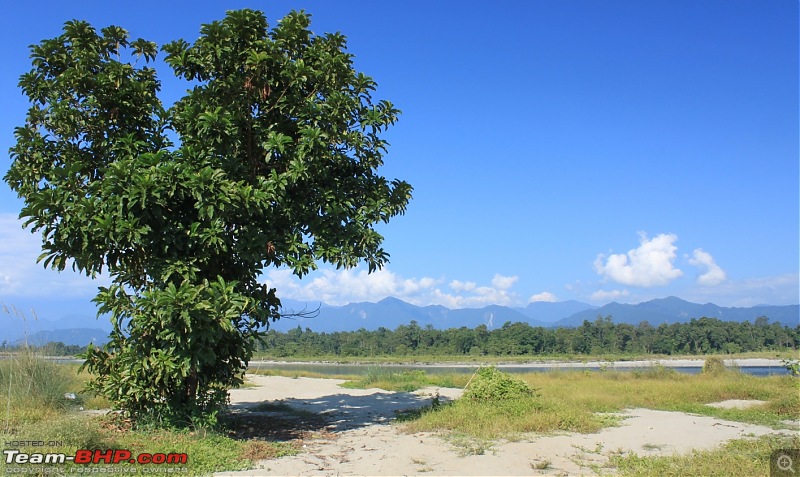 A trip to Arunachal Pradesh - Nameri National Park-img_5407.jpg