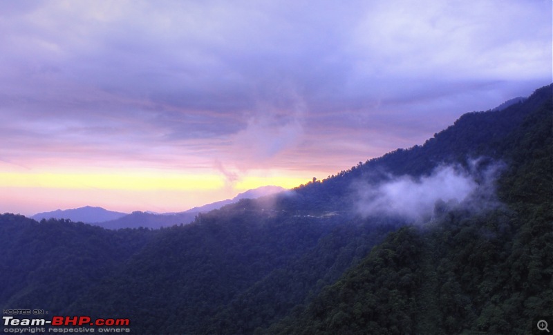 A trip to Arunachal Pradesh - Nameri National Park-img_5810_1_2.jpg