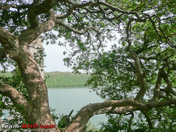 Smoke On The Water, Fire In The Sky (Into  Lonar Lake And Crater)-tree_view.jpg