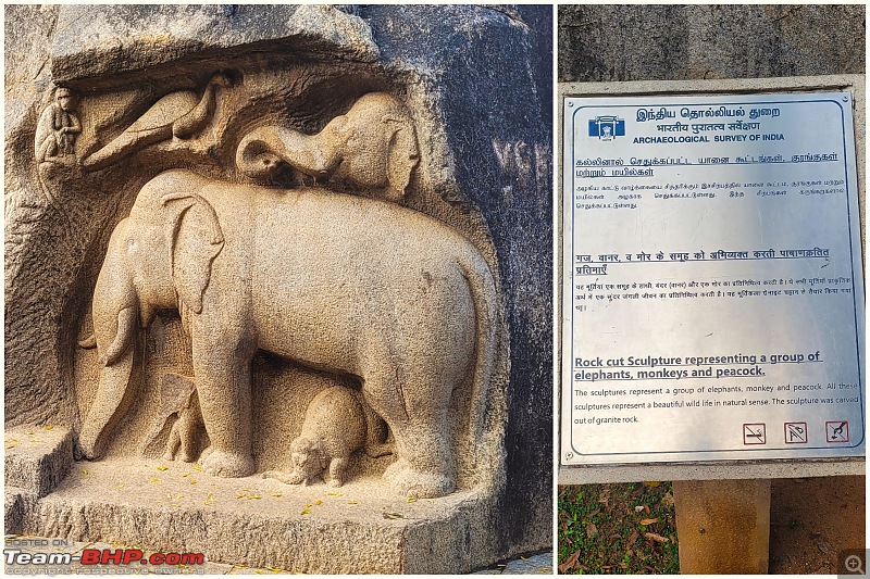 My Travel Diary: Exploring the Coromandel Coast, a 1000 km road-trip to Mahabalipuram & Puducherry-my-project1-3.jpg