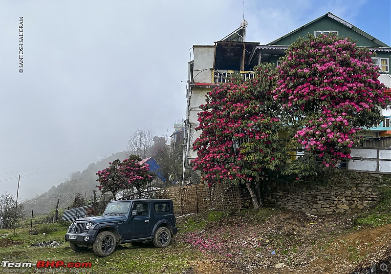 Finding our Shangri-La in Singalila | Birds, Land Rovers & Singalila National Park-img_1992.jpg