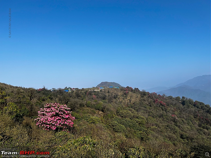 Finding our Shangri-La in Singalila | Birds, Land Rovers & Singalila National Park-img_2247.jpg