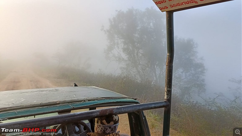 Bandipur, here I come again | This time with a twist & adventure-img20230120wa0025.jpg