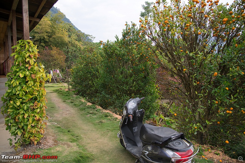 Tuting, Gelling & Bishing village road-trip | Arunachal Pradesh-dsc_1376.jpg