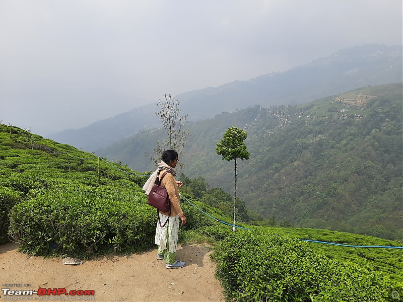 A Tale of 3 cars and the Hills of Darjeeling & Rishop-20.jpg