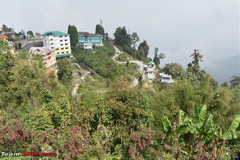 A Tale of 3 cars and the Hills of Darjeeling & Rishop-61.jpg