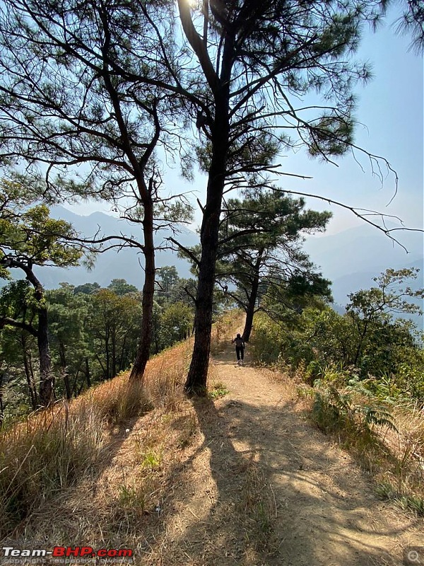 Trekking on the Tumjang trail leading to Sielkal Peak | Haflong in Dima Hasao, Assam-599.jpeg