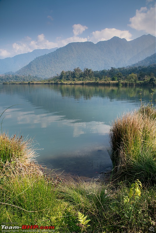 Glaw Lake & Kamlang Tiger Reserve: Arunachal Pradesh-dsc_16872.jpg