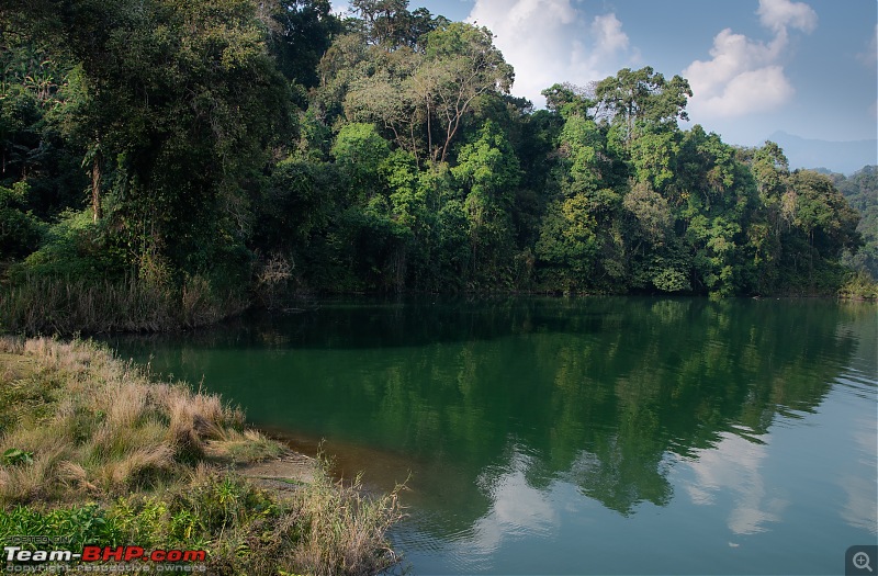 Glaw Lake & Kamlang Tiger Reserve: Arunachal Pradesh-dsc_1692.jpg